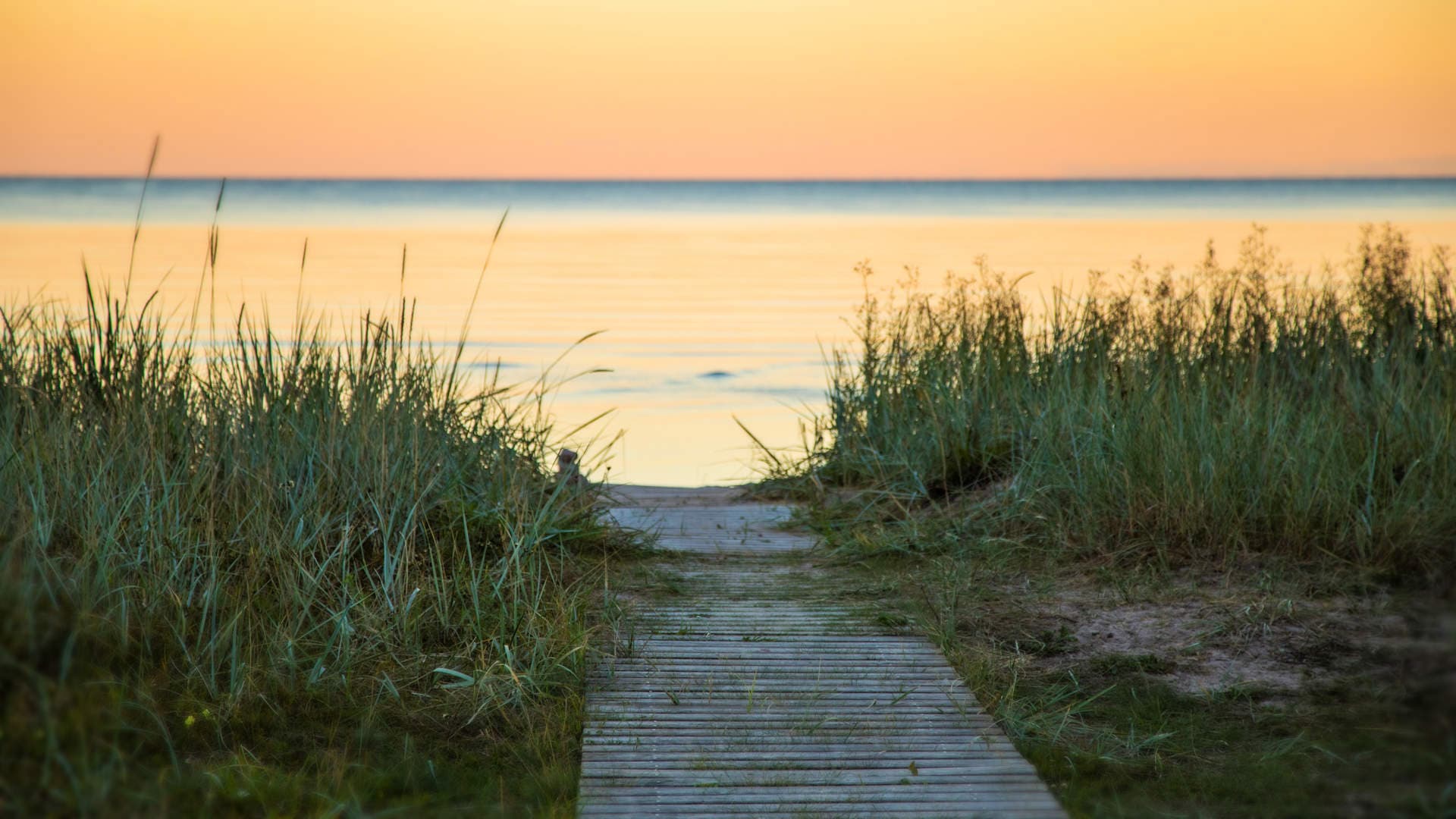 Det pensionat på Gotland som ingen pratar om — men alla som bott där kommer tillbaka